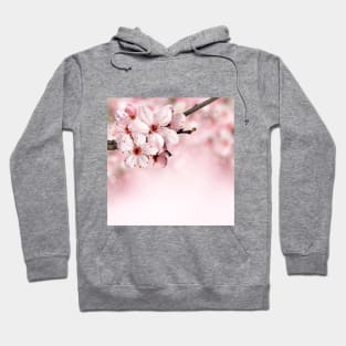 SCENERY 74 - Baby Pink Flower Blooming Tree Branch Hoodie